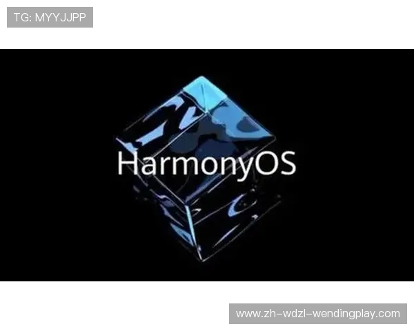 高性价比健身器材哪里找五个隐藏购买渠道深度解析